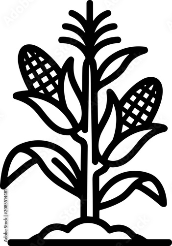 Foto Corn Stalk Icon: Maize Plant with Cobs, Agricultural Symbol Vector Line Art