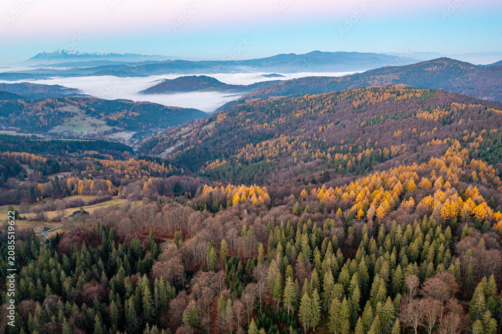 Obraz premium Małopolska, jesień , Góry Leluchowskie, Karpaty