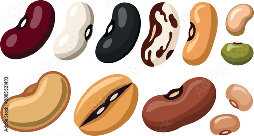 Photos Bean variety flat vector illustration set featuring colorful red kidney black wh