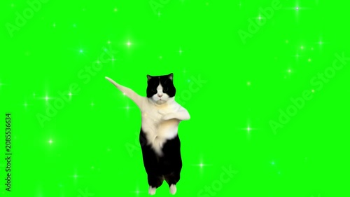 Cat performs a dabbing dance move while shimmering sparkles float around on a green screen backdrop.