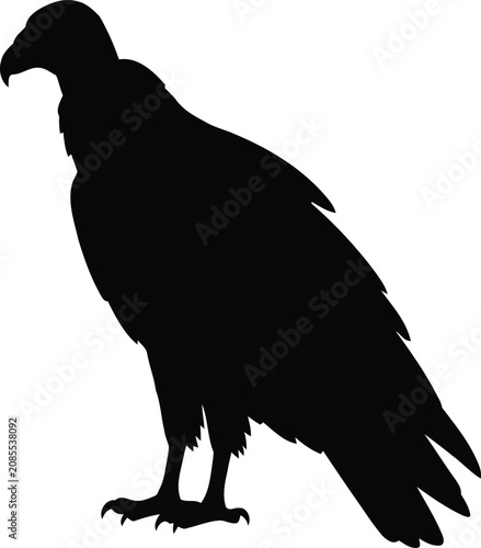 Schilderij op canvas Black silhouette of a standing vulture scavenger bird with silhouette scavenger
