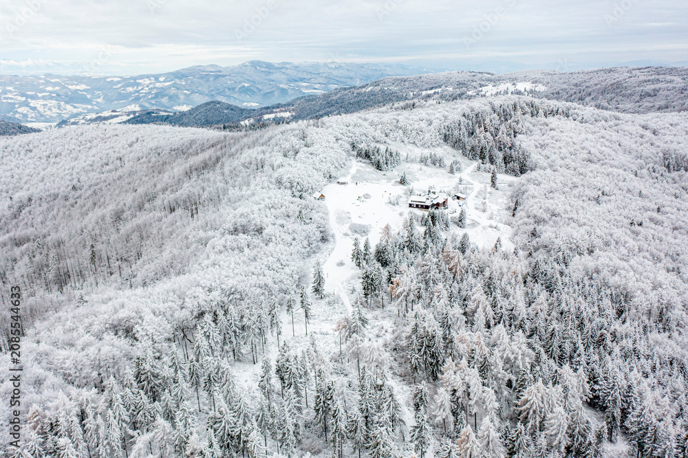 Naklejka premium Beskid Sądecki, Hala Łabowska, Małopolska, Zima, Sądeckie,