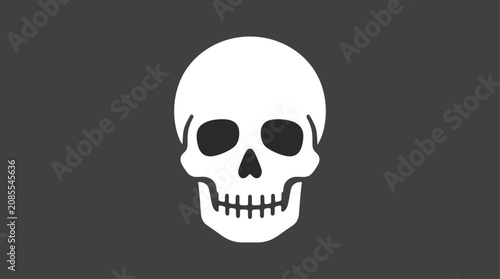 A white skull on a dark background.