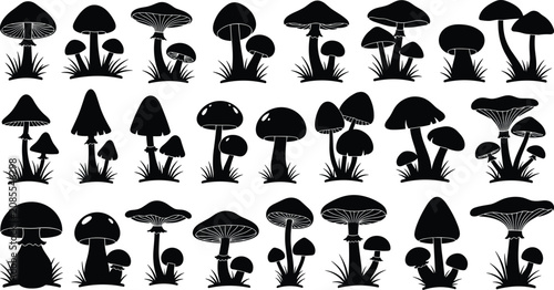 Black and white of various mushrooms in rows fungi toadstools caps