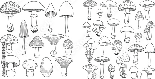 Black and white of various umbrellas and lamps lighting home decor