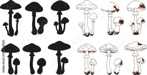 Black and white of various umbrellas and vases with floral patterns dotted patterns d