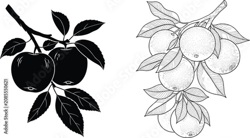 Black and white stylized of a bat with detailed wings and furry body stylized wings animal de