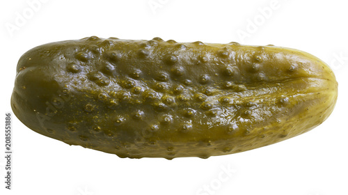 Obraz na plátně Whole Gherkin Pickle with Bumpy Texture