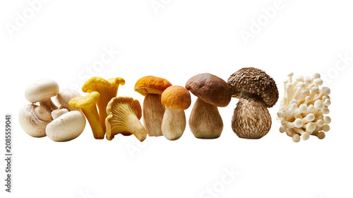 фотографія Assorted edible mushrooms including chanterelle porcini enoki, and button mushro