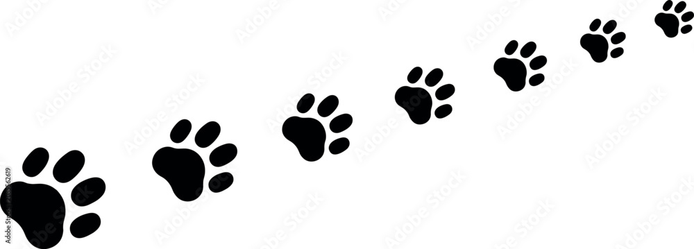 Fototapeta premium A sequence of black animal paw prints trailing diagonally across a white background, showing the path of a playful pet.