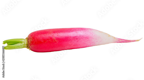 Long red radish with green leaves