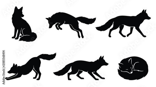 Silhouettes of Foxes Walking and Sitting in Group
