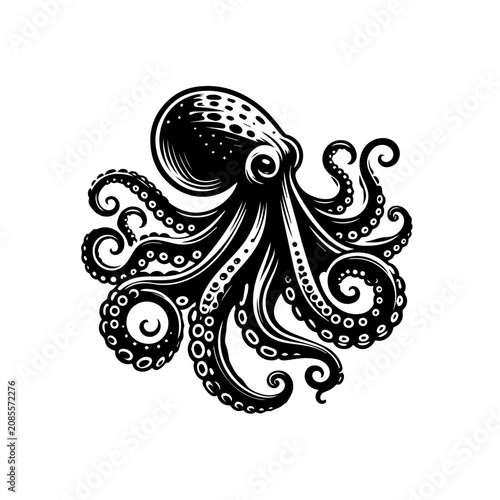 Black octopus illustration with curled tentacles