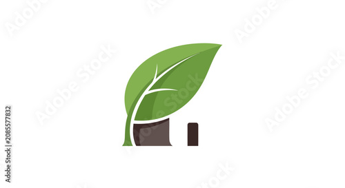 Green leaf plant growing from ground.