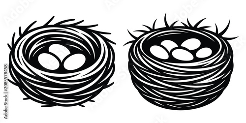 фотографія Bird Nest with Eggs Vector Illustration Set, Black and White Woven Bird Nest Vec
