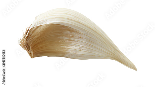 Single garlic clove with papery skin