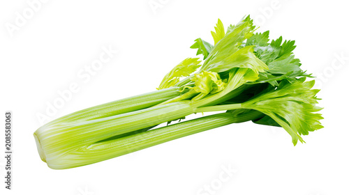 фотографія Fresh green celery stalks with leaves