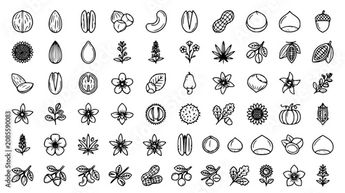 Foto Nuts and seeds line icon mega collection featuring almond walnut hazelnut peanut