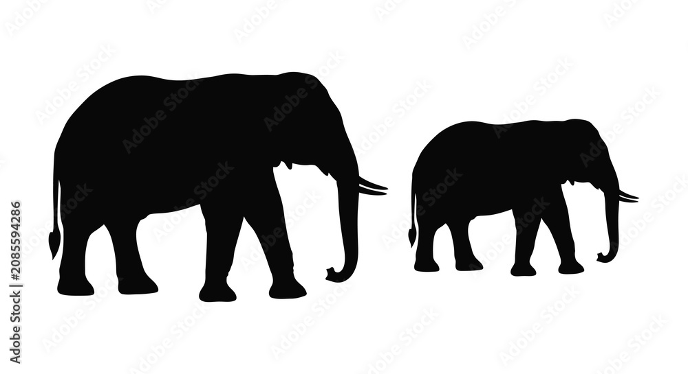 Fototapeta premium Elephant Silhouette Pair On White Background african elephant