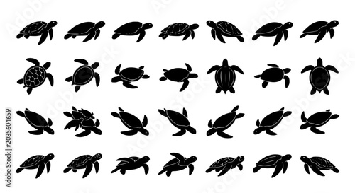 Vászonkép Sea turtle silhouette vector icon collection featuring swimming marine reptiles