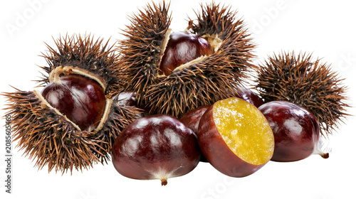 Canvastavla Sweet Chestnuts in Spiky Husks, One Halved Showing Yellow Flesh