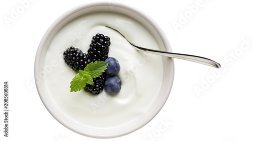 Schilderij op canvas Creamy yogurt with blackberries blueberries, and mint leaf in bowl with spoon