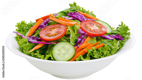 Fresh garden salad with lettuce tomato cucumber carrot, and red cabbage