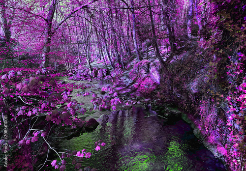 A peaceful forest with vibrant purple foliage surrounds the gentle Harden Beck, which winds through the landscape, mirroring the unique hues of its surroundings in Harden, Bingley, UK.