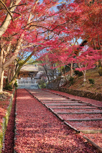 Autumn leaves in Bishamondo temple (Bishamon-do), Kyoto, Japan.