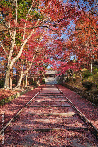 Autumn leaves in Bishamondo temple (Bishamon-do), Kyoto, Japan.