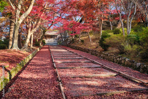 Autumn leaves in Bishamondo temple (Bishamon-do), Kyoto, Japan.
