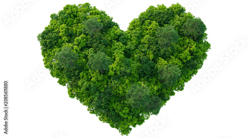 Tableau sur toile Heart shape formed by dense green trees and foliage