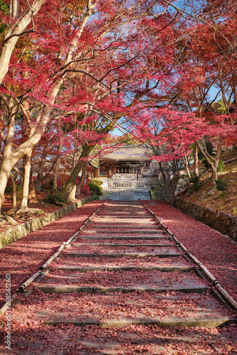 Autumn leaves in Bishamondo temple (Bishamon-do), Kyoto, Japan.
