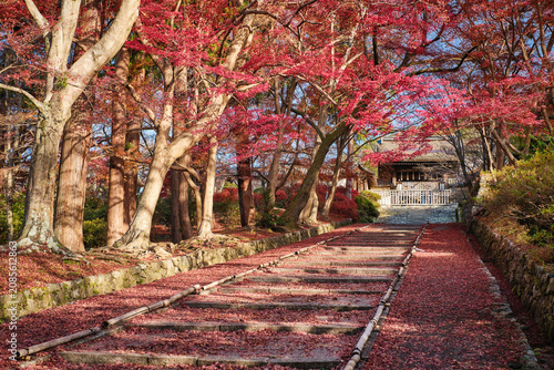 Autumn leaves in Bishamondo temple (Bishamon-do), Kyoto, Japan.