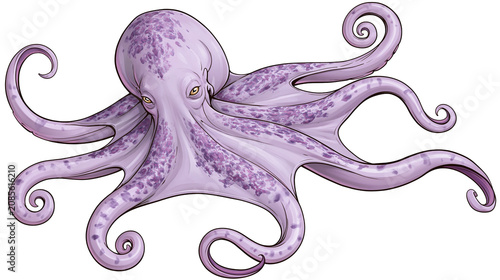 Fotografie Purple octopus with eight tentacles and yellow eyes