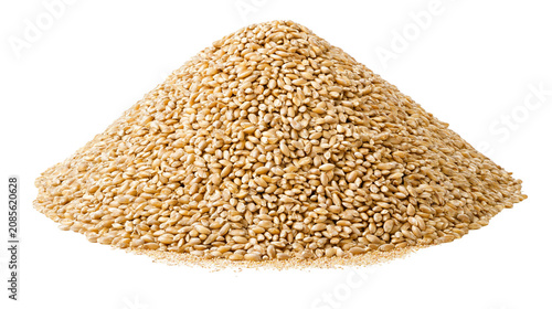 Fotografía Heap of whole wheat grains, golden brown kernels