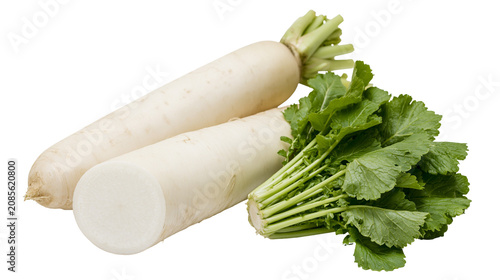 Bild auf Leinwand Two white daikon radishes with green leafy tops