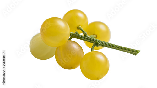 Photos Yellow grapes on green stem