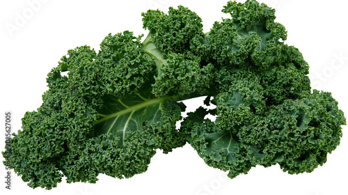 Tablou pe pânză Curly green kale leaves with prominent veins