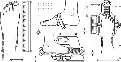 фотографія Foot measurement guide icons and shoe sizing tools line art illustration collect