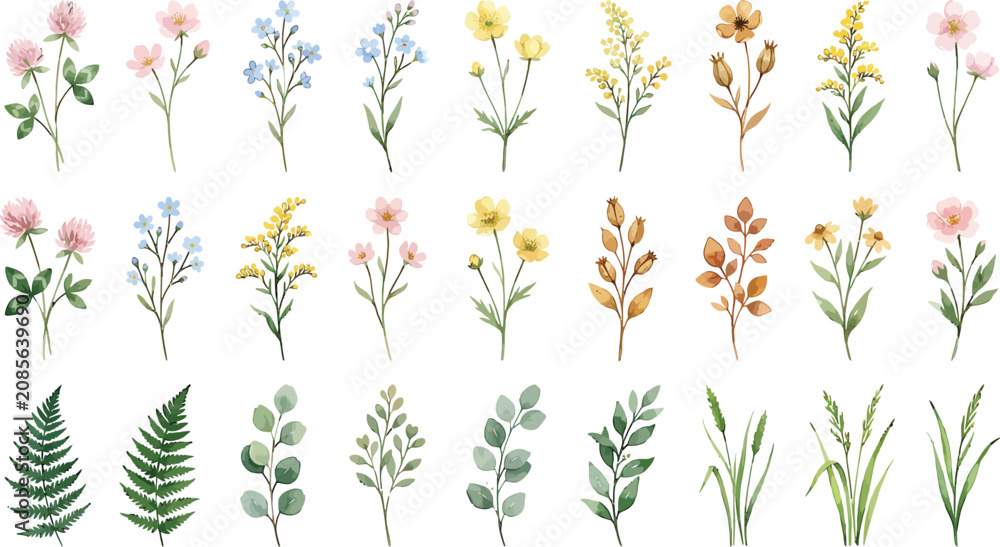 Fototapeta premium Watercolor wildflower and foliage collection featuring diverse botanical elements for decorative design projects and floral stationery layouts