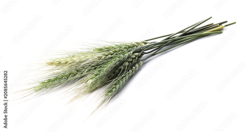 Fototapeta premium Bunch of green wheat spikes isolated on white