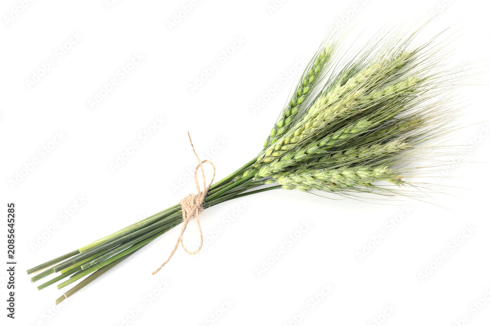 Fototapeta premium Bunch of green wheat spikes isolated on white