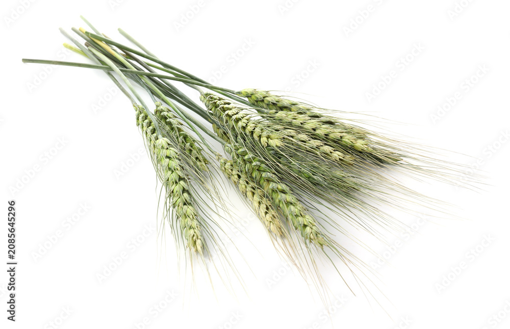 Fototapeta premium Bunch of green wheat spikes isolated on white