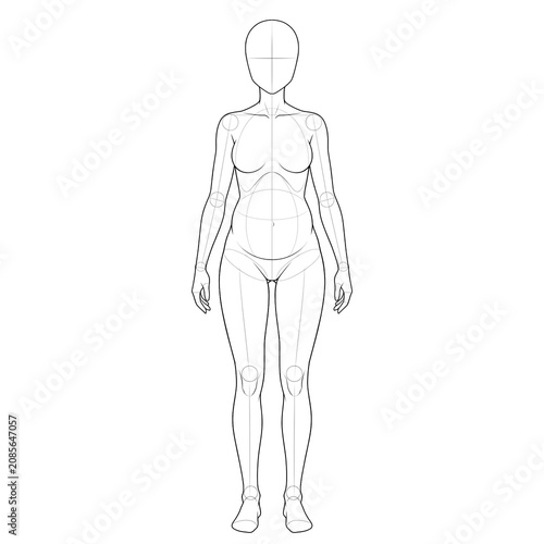 2nd trimester pregnant body base front view.