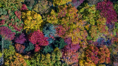 Canvas Print Aerial View Of The Changing Of The Leaves In The North Carolina Mountains