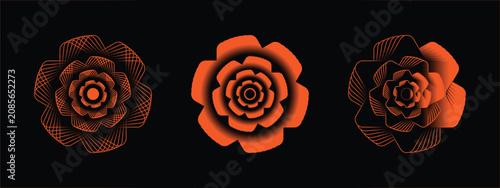 Vászonkép Collection of three distinct orange abstract floral motifs showcasing diverse li