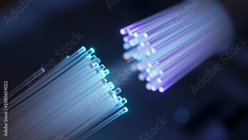 Cutting-edge visualization of fiber optic infrastructure forming the backbone of the modern digital world. 