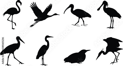 Tableau sur toile Silhouette collection of wading birds including flamingo, heron, ibis, spoonbill