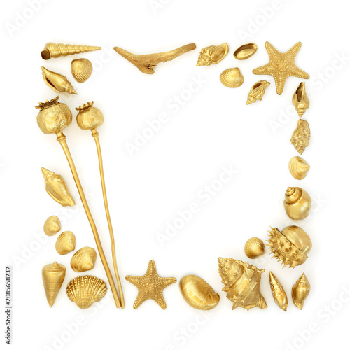 Gold objects decorative background border on white. Selection of seashells, driftwood, plants. Natures luxury beauty abstract gilded design for greeting card.